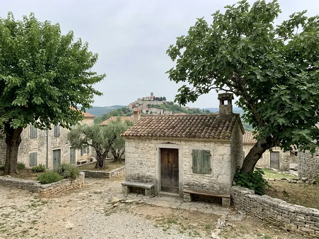The one-room press house with a stone bench and a fig tree by the door